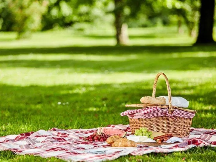 Что взять с собой на пикник: полезный список нужных вещей